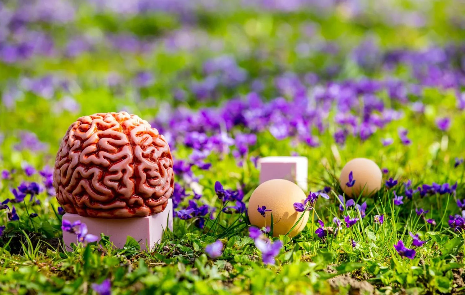 The End of AI Slop: Why SaaS Is Bleeding and What Comes Next - SaaS Disruption 2026